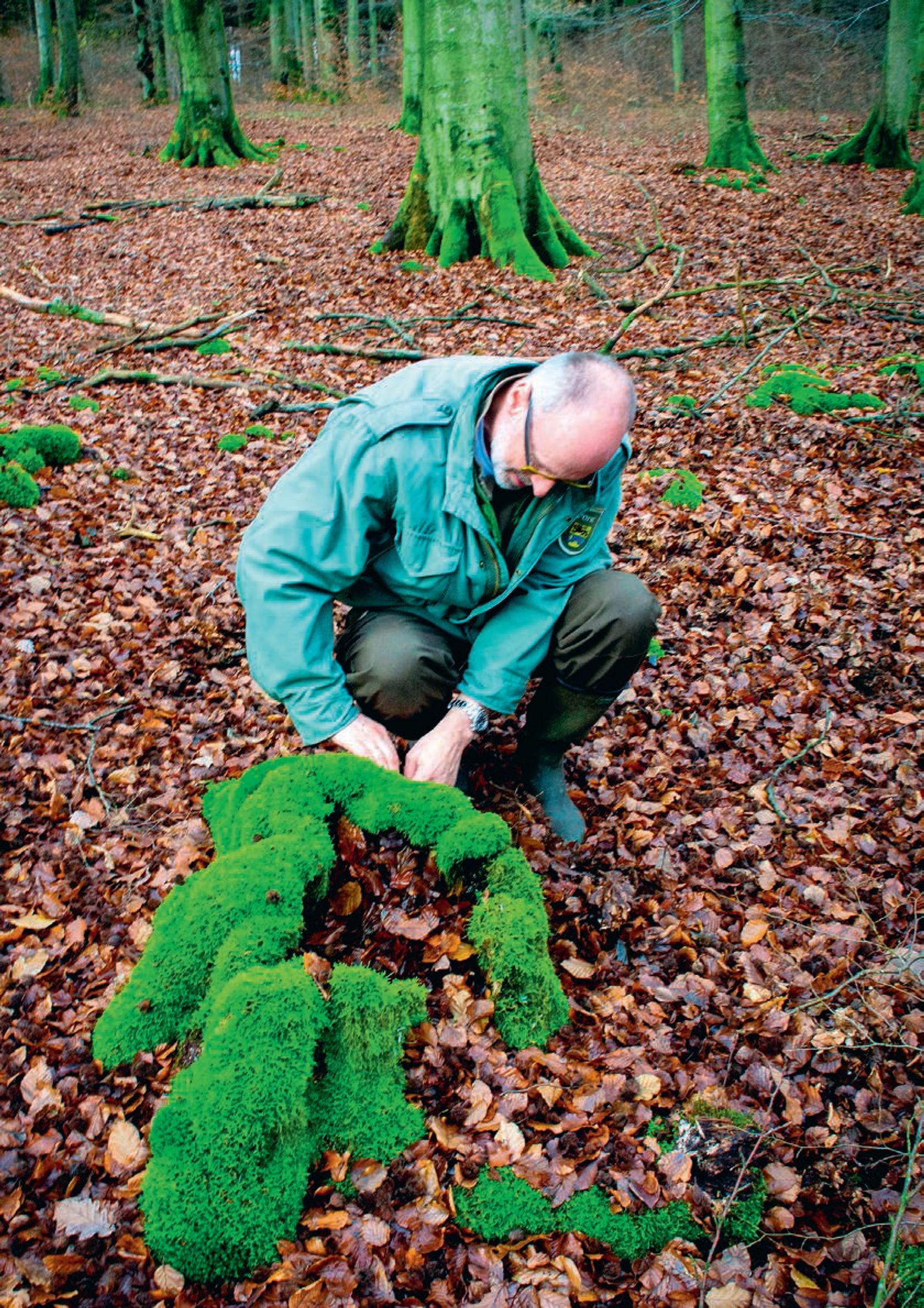 Peter Wohlleben