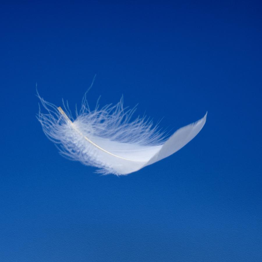 Floating Feather. Drifting: Weight of Feathers.