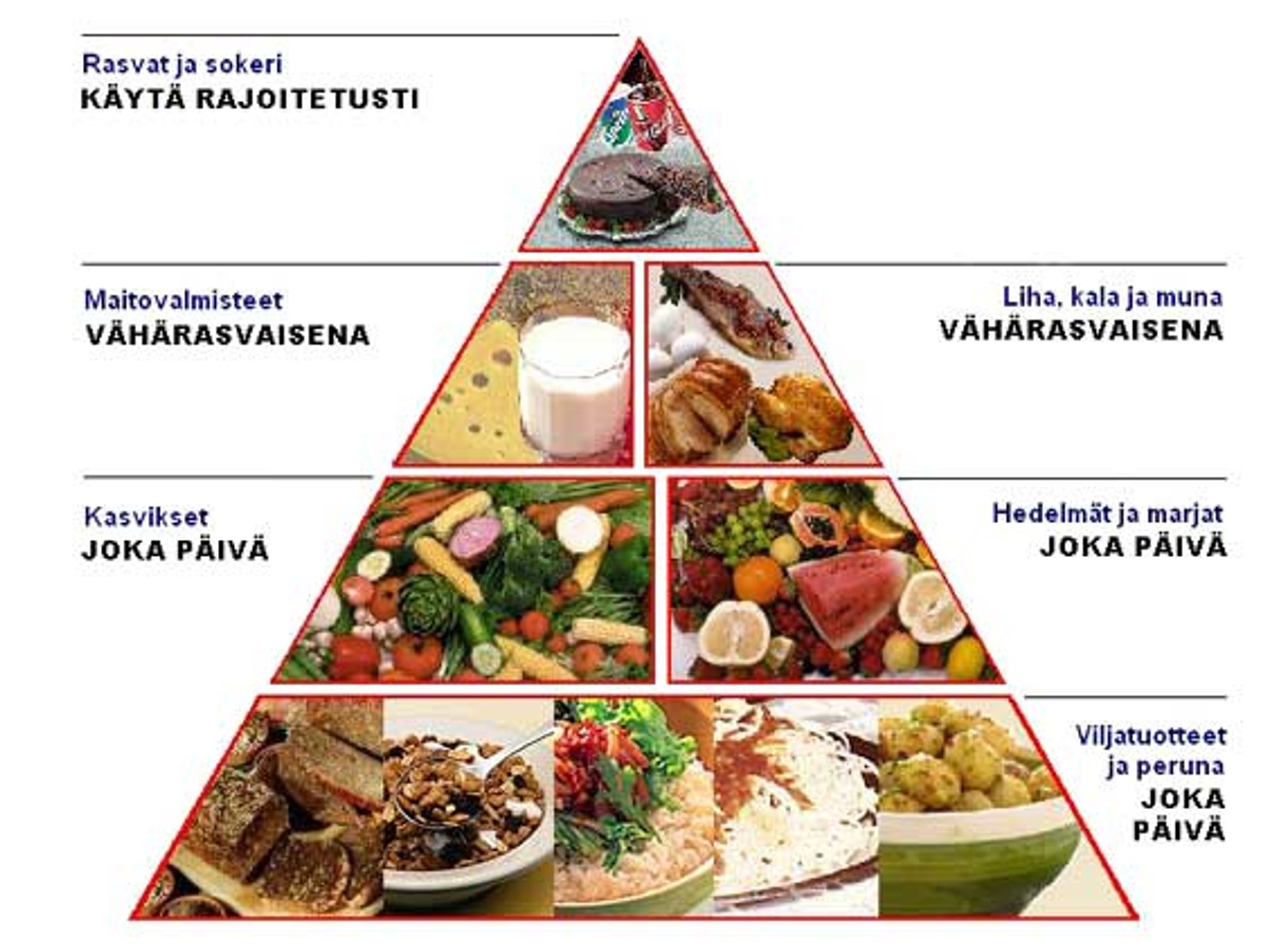 Ruokakolmio Terve fi Ruokakolmio Terve fi