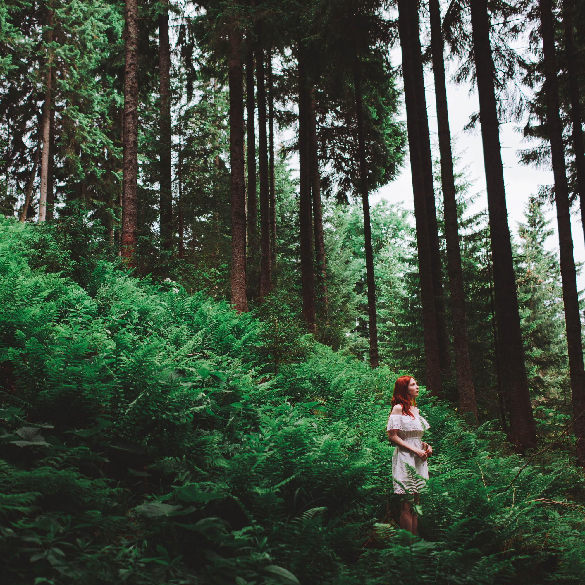 Suositusta kasvirohdoksesta apua stressiin − testiryhmä huomasi ashwagandhan alentavan stressitasoa ja parantavan unta