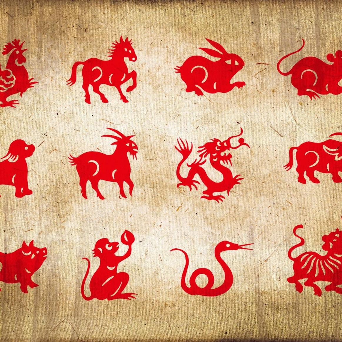 Kiinalainen horoskooppi: Hyvää sian vuotta! | Voi hyvin