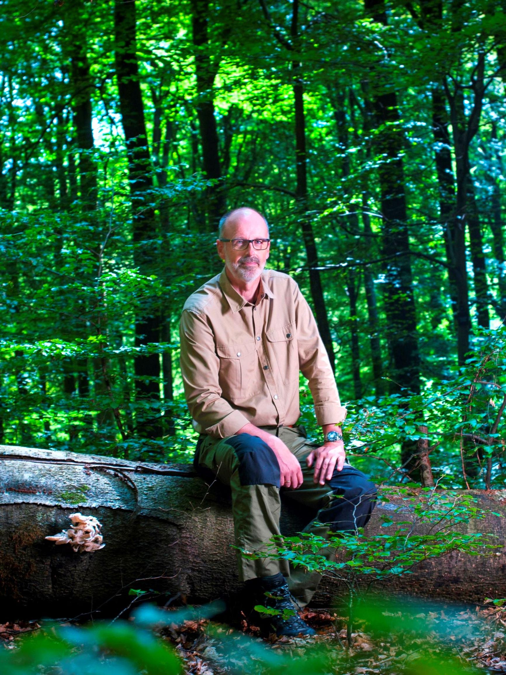 Peter Wohllebenin mukaan puut rakastavat hitautta: "Metsän pinnanalainen maailma kuhisee salaisuuksia"