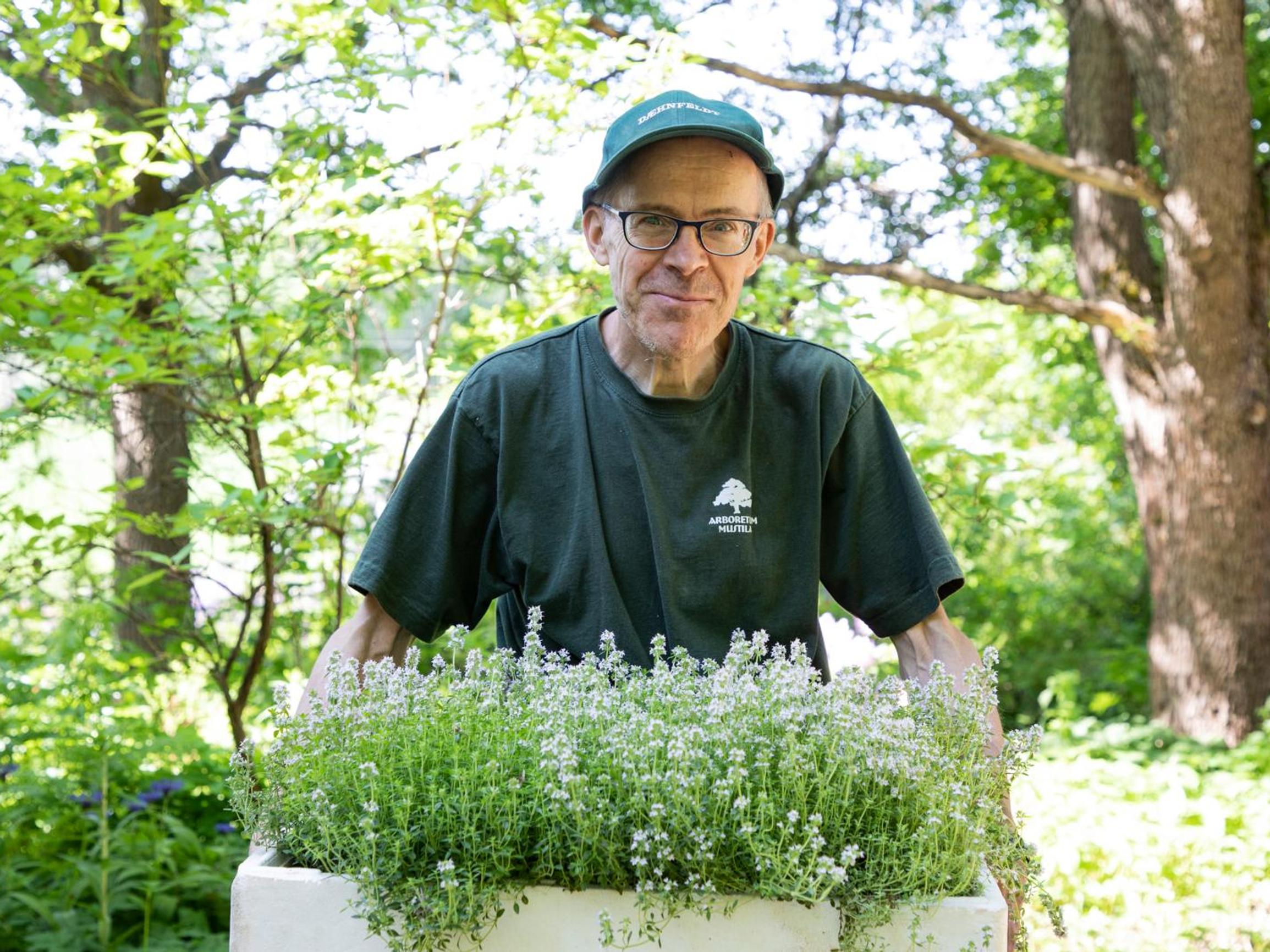 Tyrä voi olla vuosia lähes oireeton