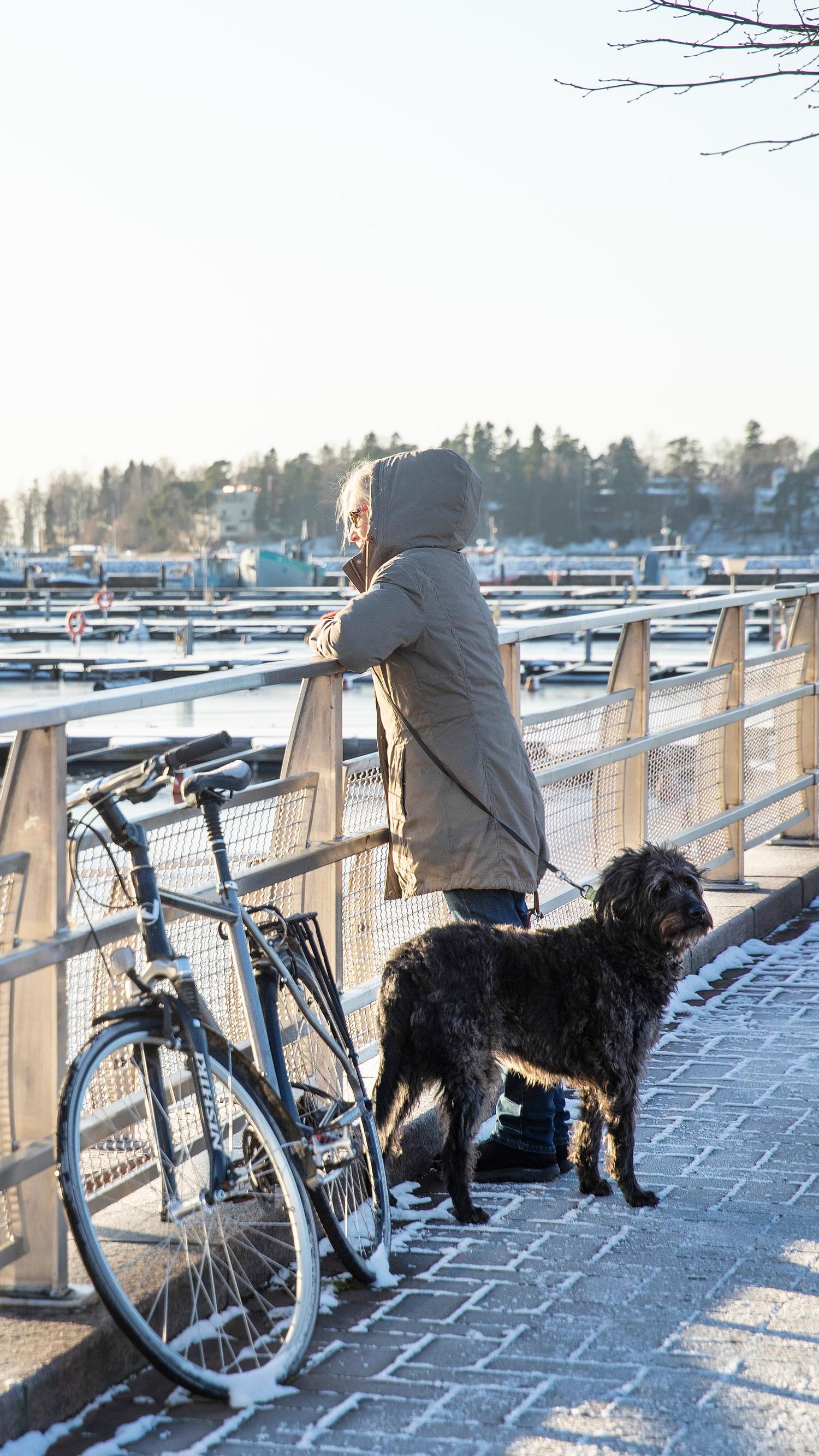 Vanhemman Ja Lapsen Vaikea Suhde Apu Terveys