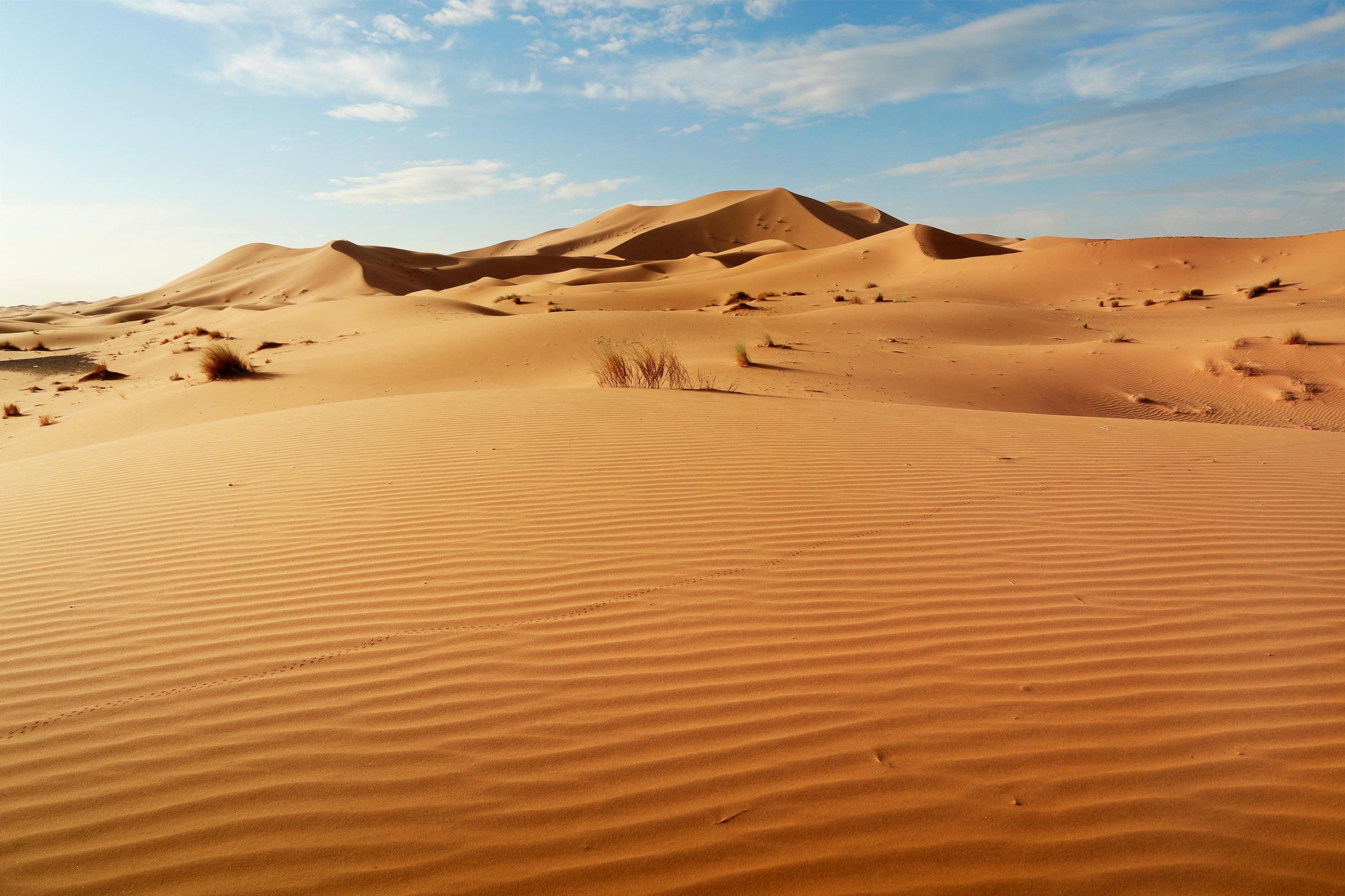 sahara