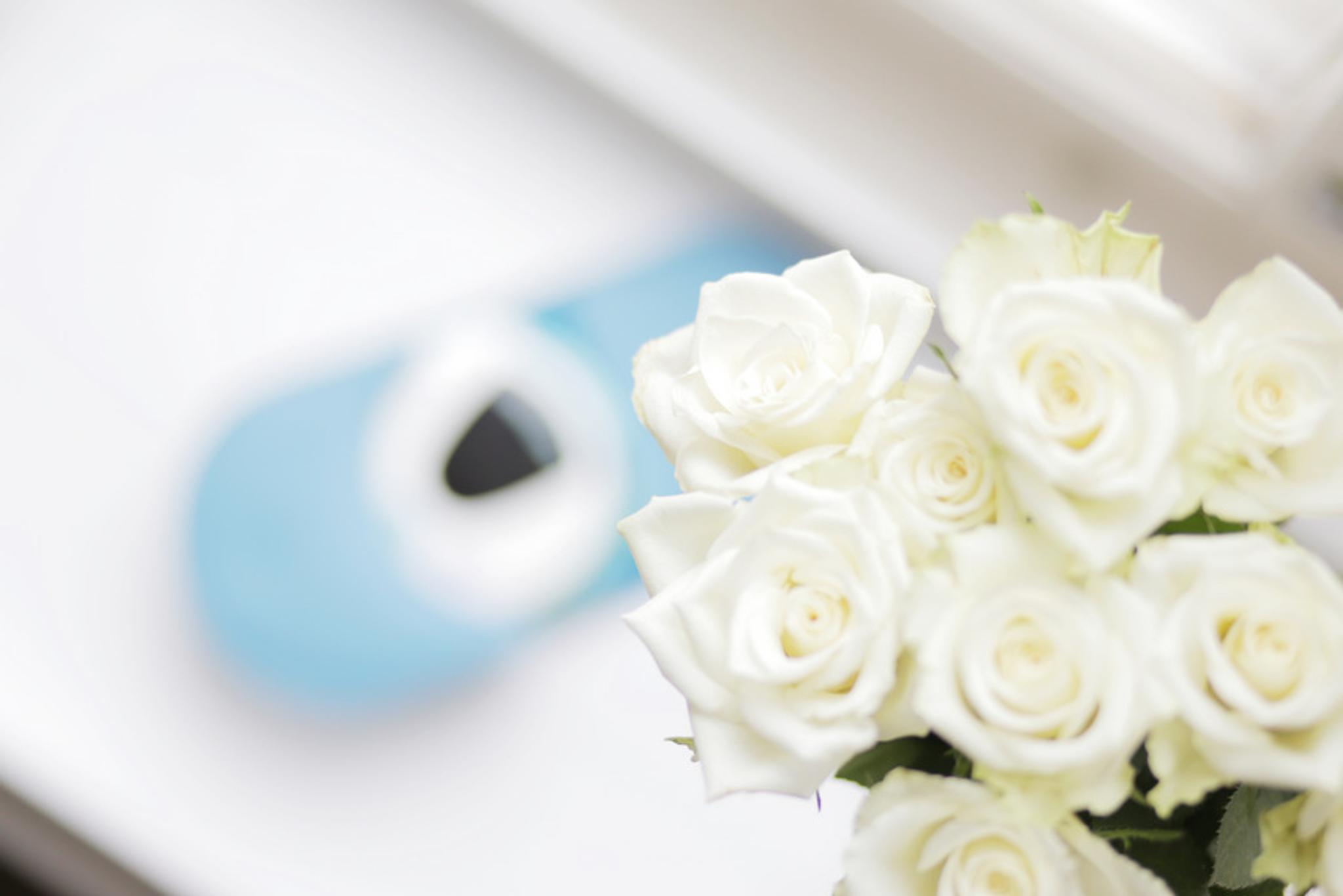 E Pillereiden Lopetus On My Way Lily